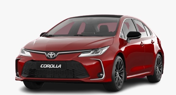 WhatsApp Image 2025-11-08 at 1.25.50 PM (1)