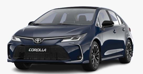 WhatsApp Image 2025-11-08 at 1.25.50 PM (3)