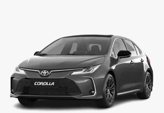 WhatsApp Image 2025-11-08 at 1.25.51 PM